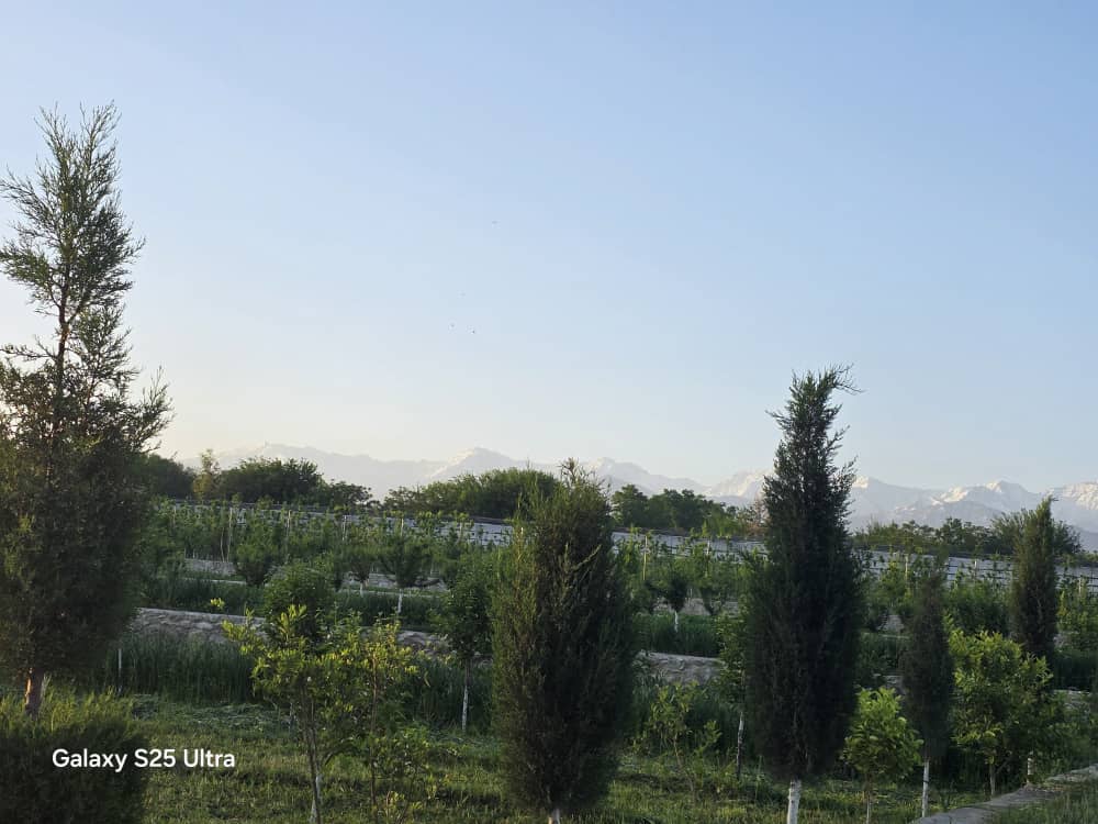 Park and Garden